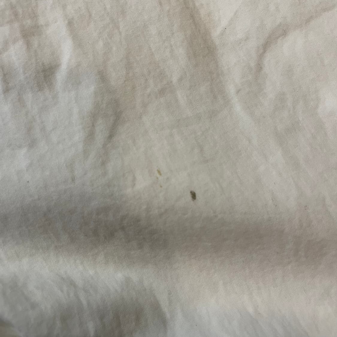 폴로 랄프로렌 윙로고 숏팬츠 상품이미지7