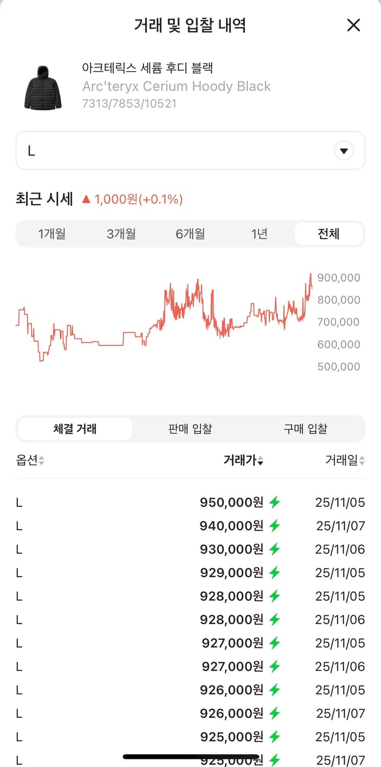 아크테릭스 세륨후디 블랙 L사이즈 25FW 상품이미지4