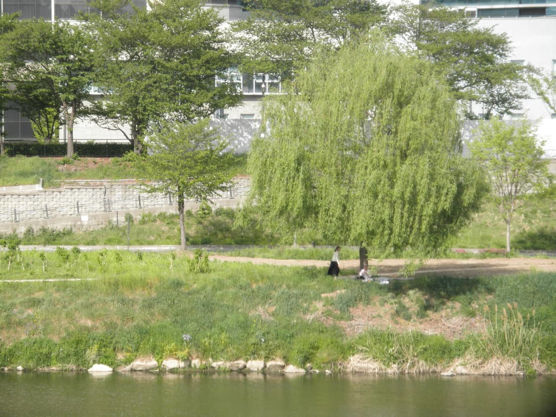 🩵 올림푸스 뮤 7040 (작례O) 상품이미지9
