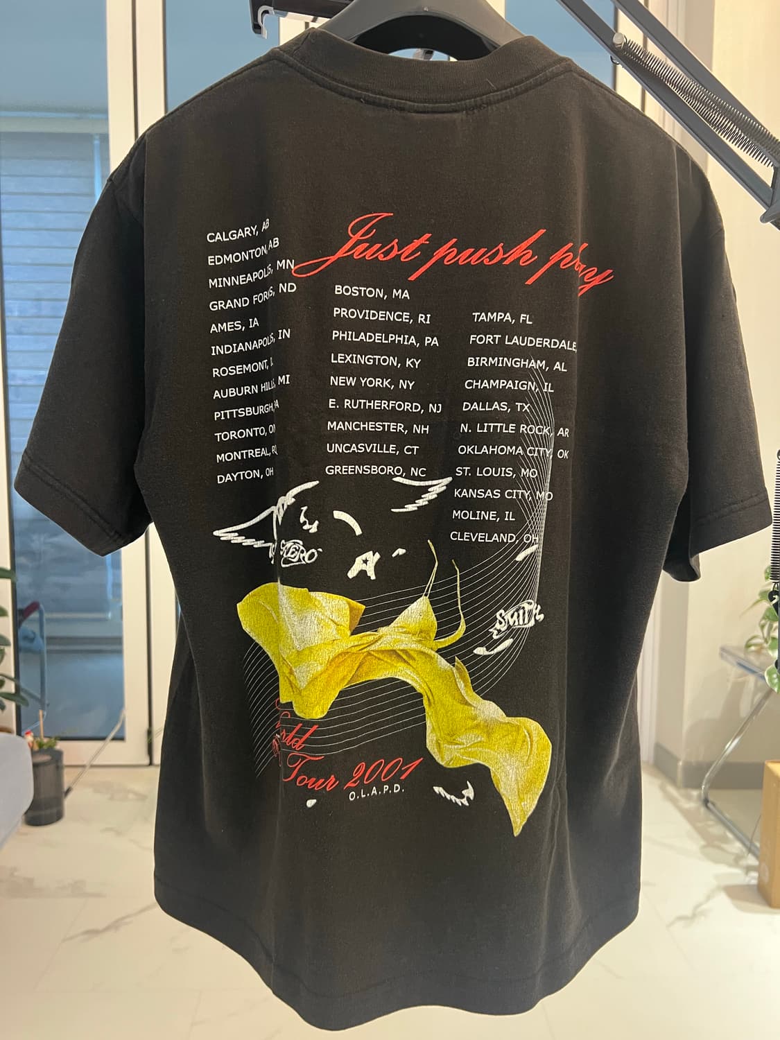 에어로스미스 x 하지메 소라야마 티서츠 상품이미지2