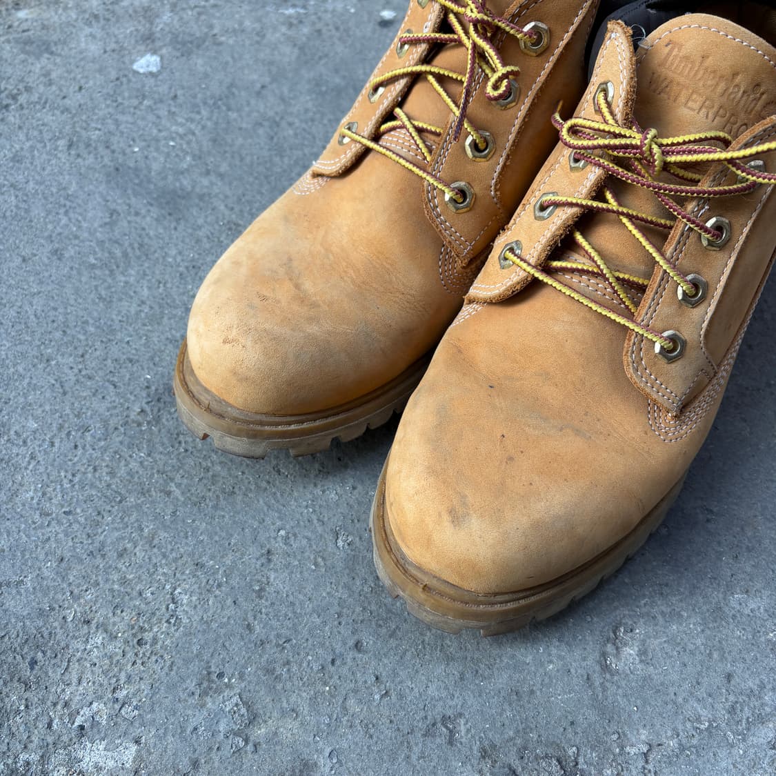 Timberland 팀버랜드 워터프루프 워커 부츠 (265) 상품이미지2