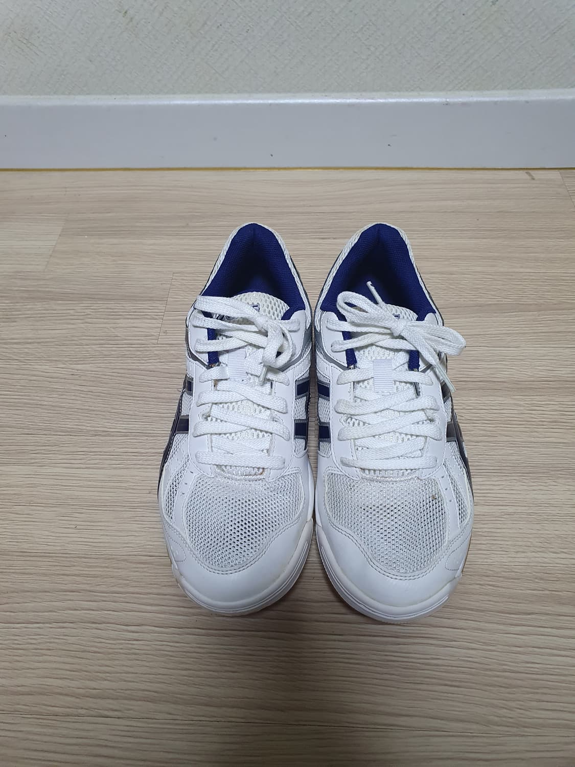 아식스 로테리브레 체대입시화 270 상품이미지3