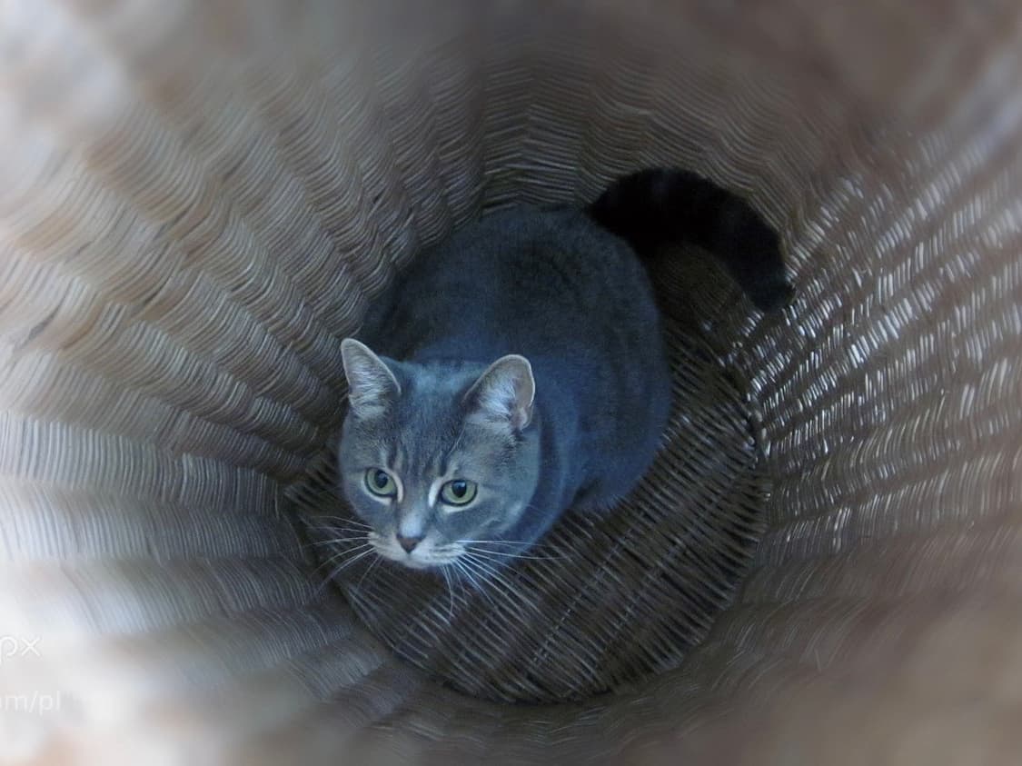 [ITYZ예지픽!] 캐논 IXY 200F (IXUS 105) 디지털카메라 상품이미지9