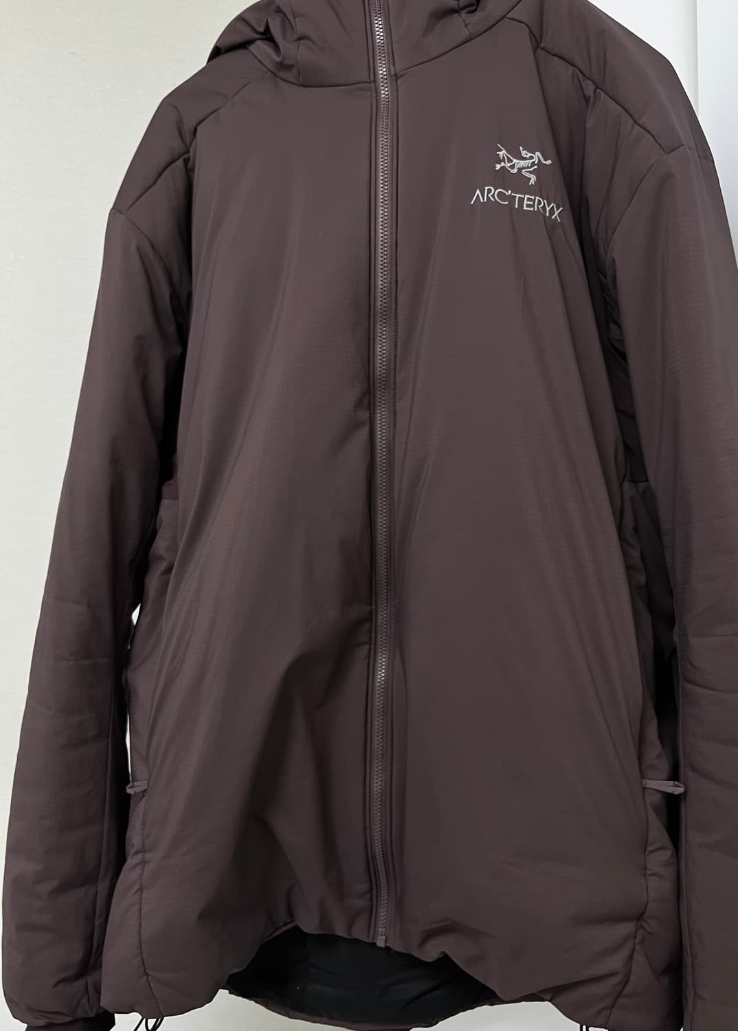 아크테릭스 아톰ar 후디 라지 상품이미지1