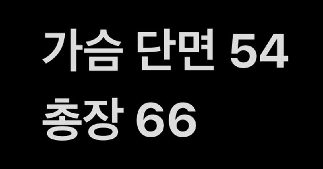 [ 정품/100 ] 아디다스 첼시 바람막이 자켓 b1 상품이미지8