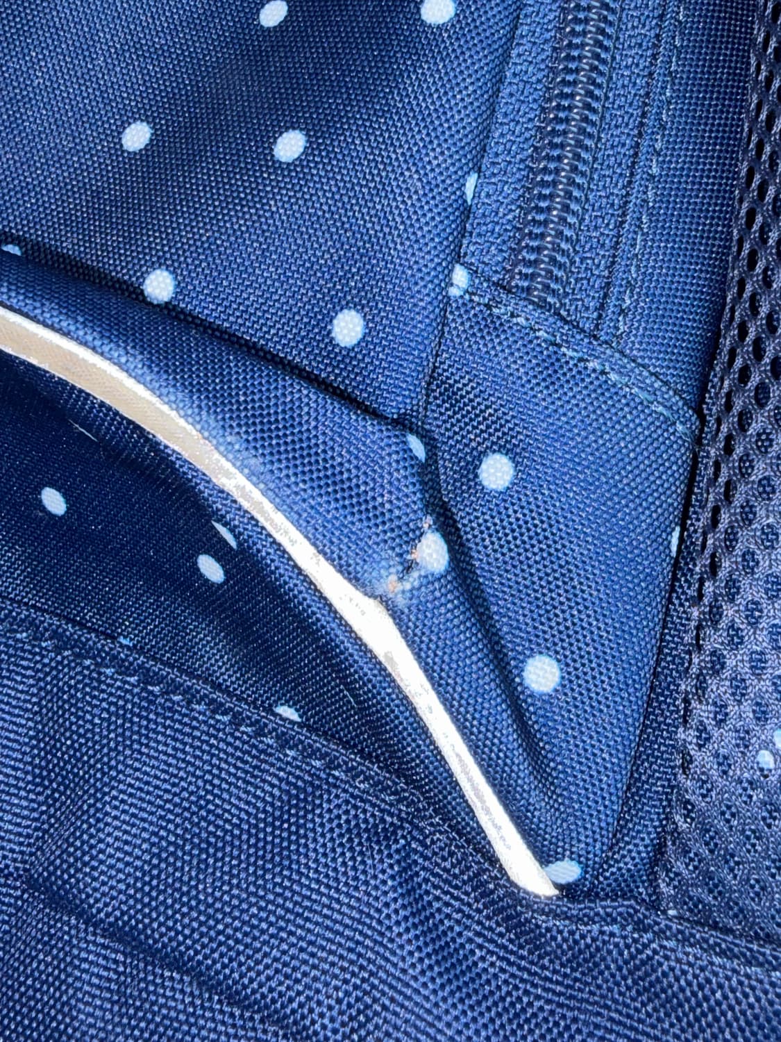 콜맨 도트 백팩💙 상품이미지4