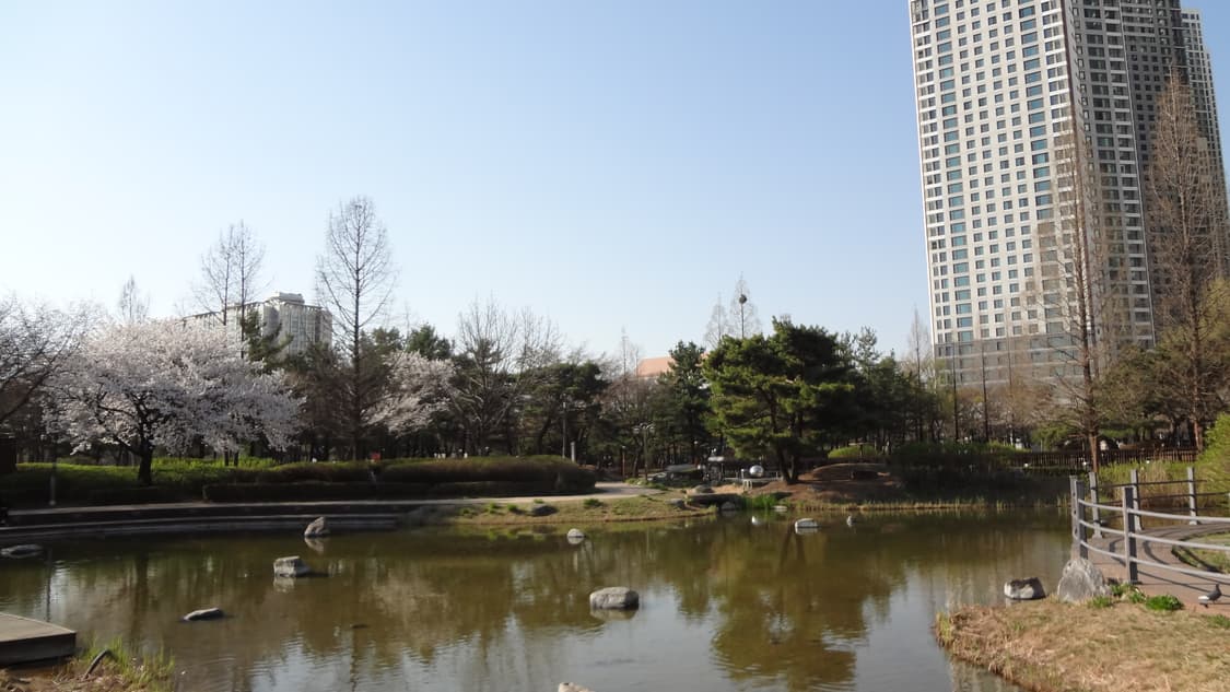 소니 사이버샷 DSC-WX30 상품이미지8