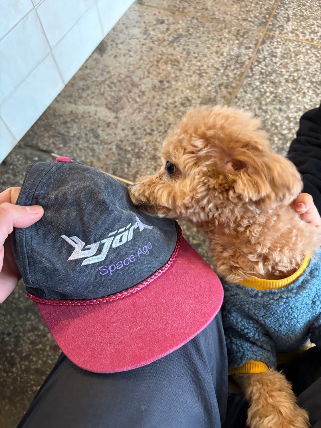 90s Bjork cap 상품이미지1