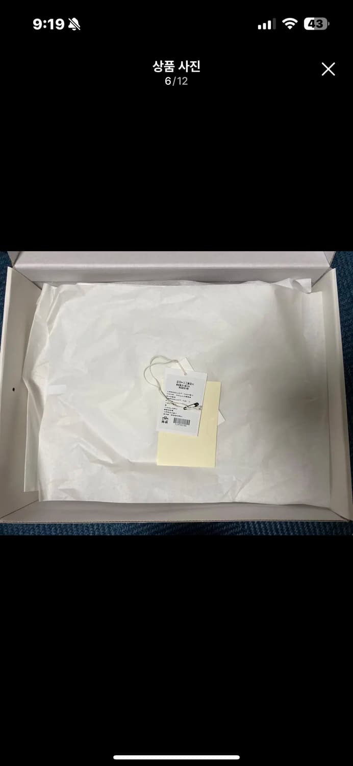 클락스 왈라비 폴리테루 행크 2사이즈 상품이미지5