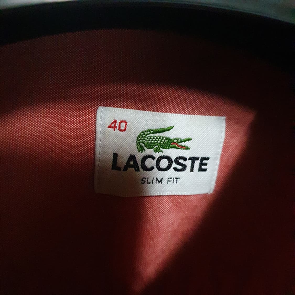 라코스테 셔츠 100 상품이미지3