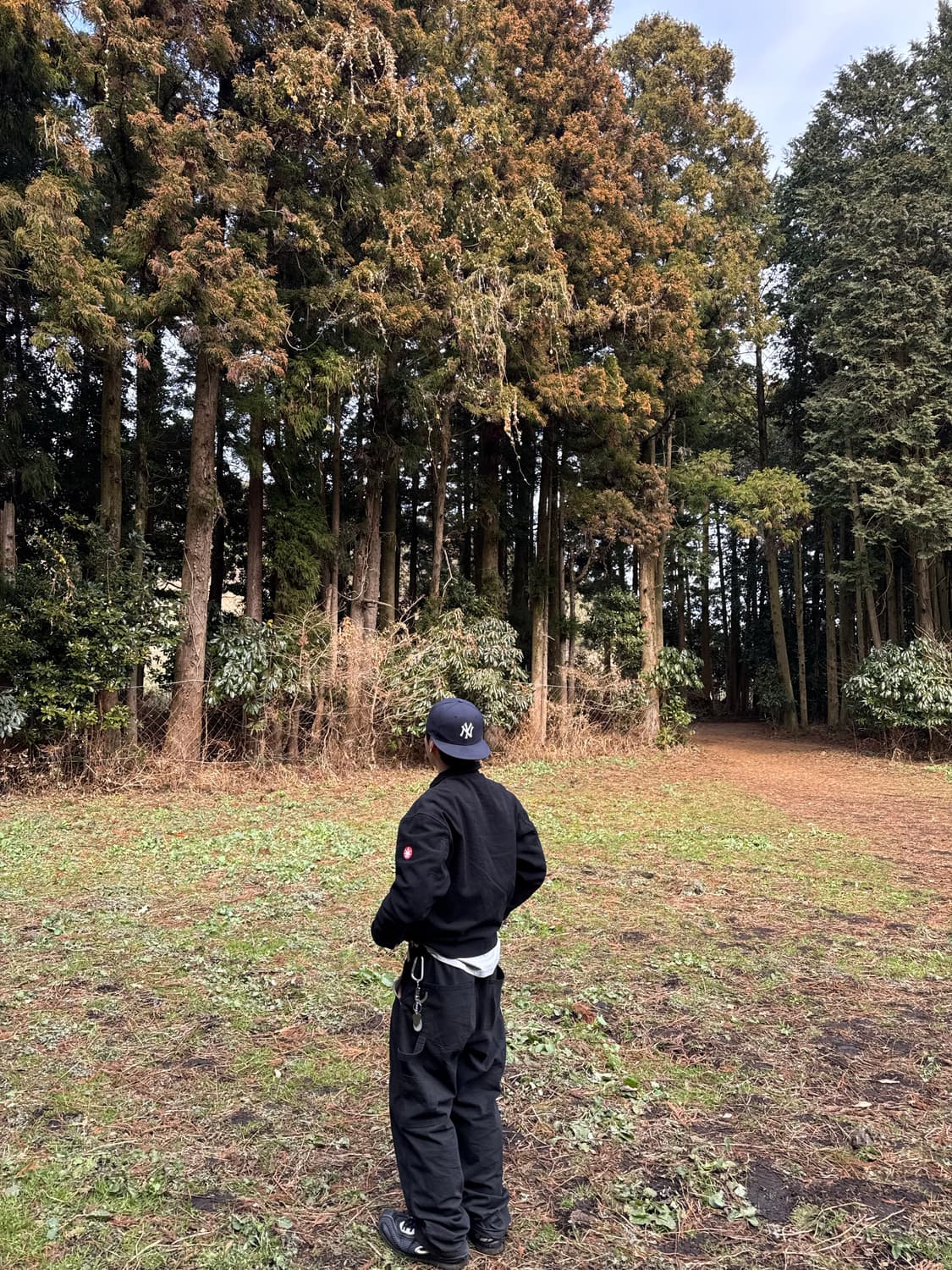 카브엠트 코르티스 브러쉬드 코튼 커버 자켓 상품이미지4