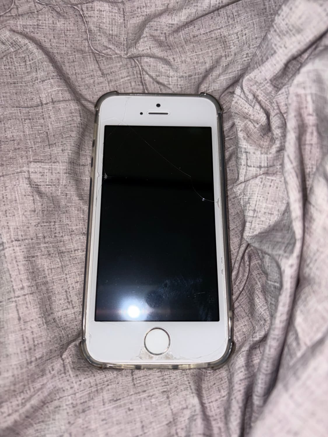 아이폰5s 실버 사진용 상품이미지2