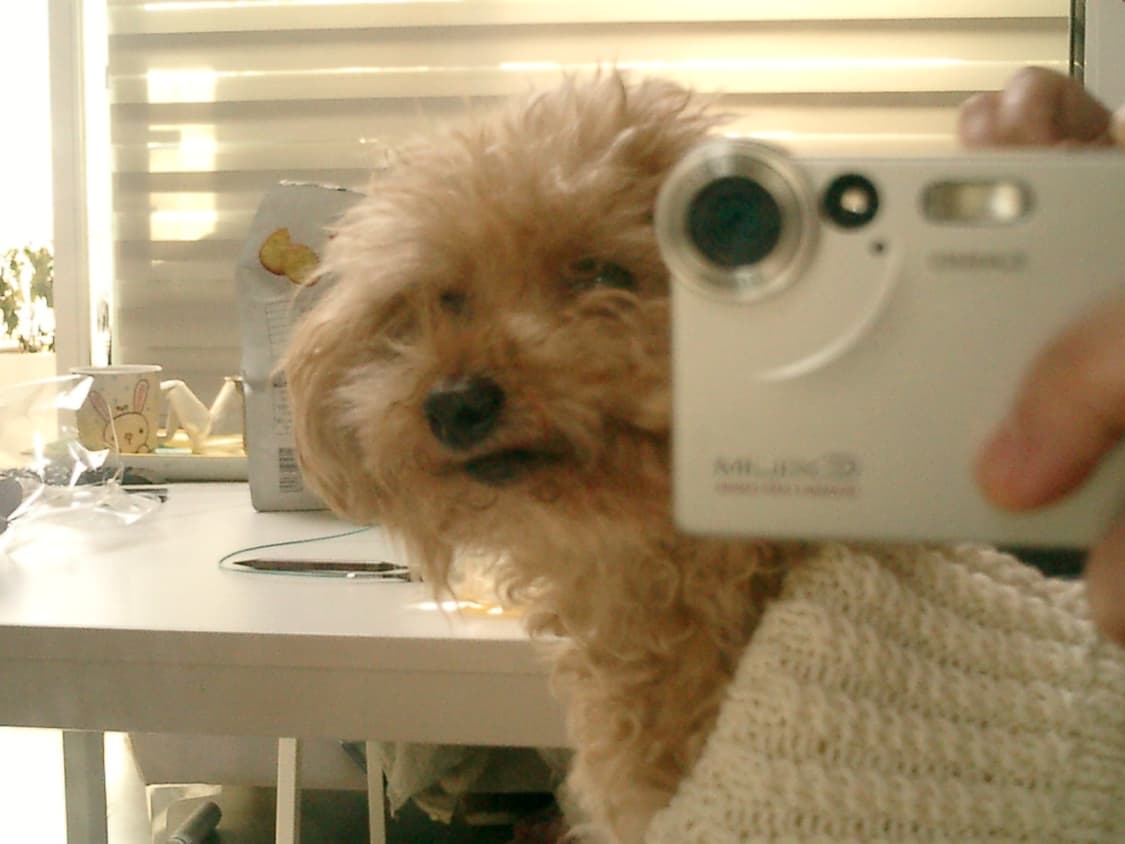 Casio Exilim EX-S2 상품이미지5