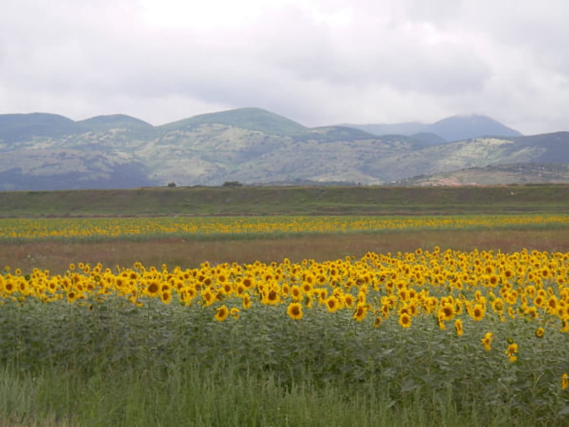 Sanyo xacti dsc-e6 산요 작티 디카 빈티지디카 상품이미지9