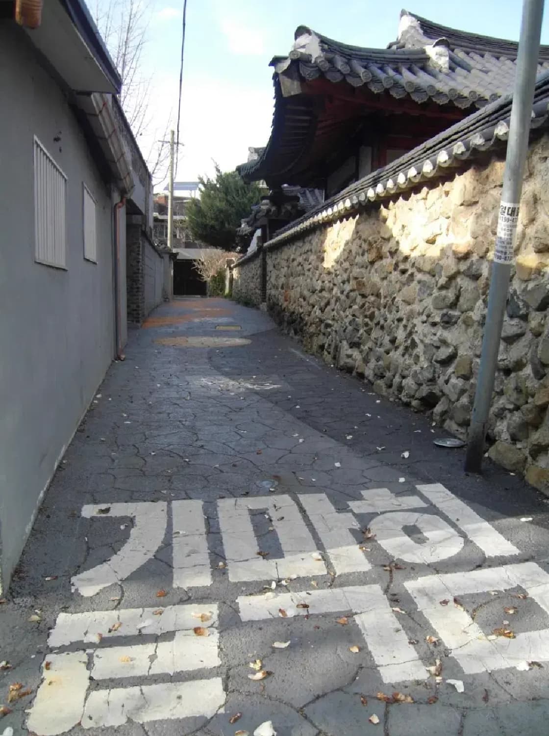  (팝업플래시) 삼성 VLUU NV 100HD 디지털카메라  상품이미지8