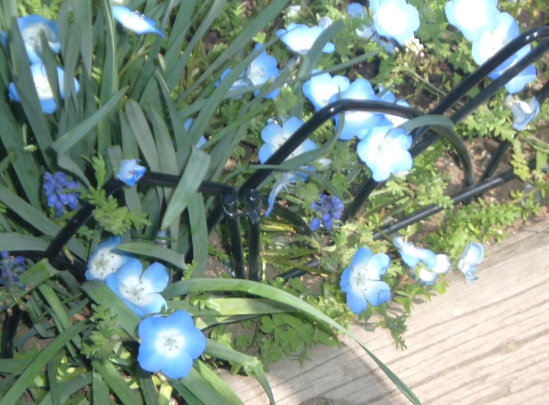 [작례O] 후지필름 파인픽스 A340 FUJIFILM FINEPIX 디카 상품이미지9
