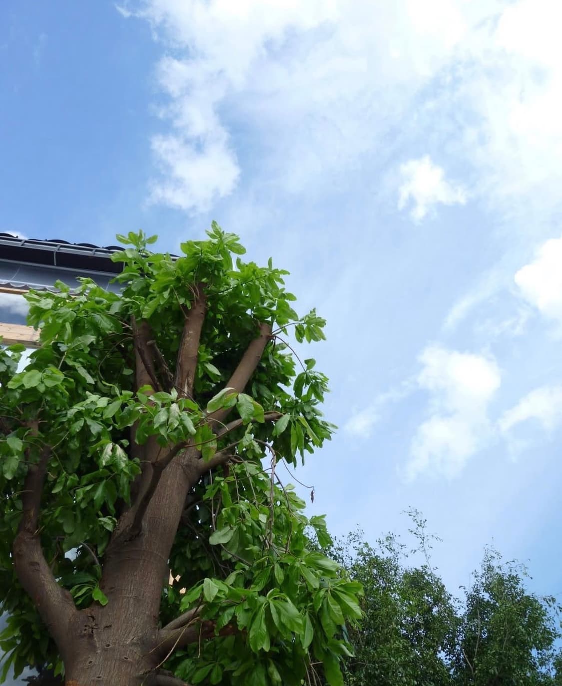 소니 사이버샷 s700 디지털카메라 상품이미지10