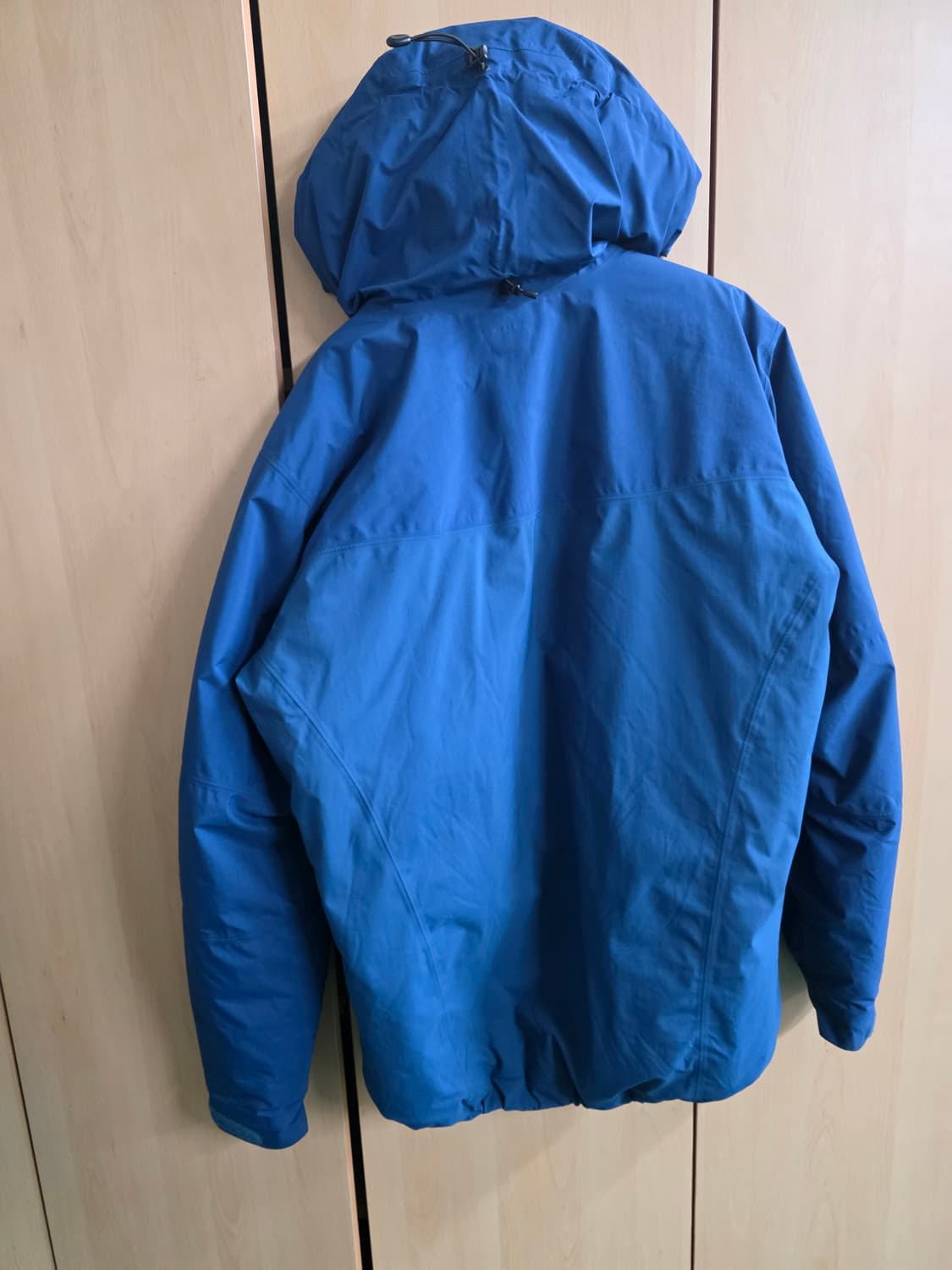 아크테릭스 카파 후디 L 상품이미지3