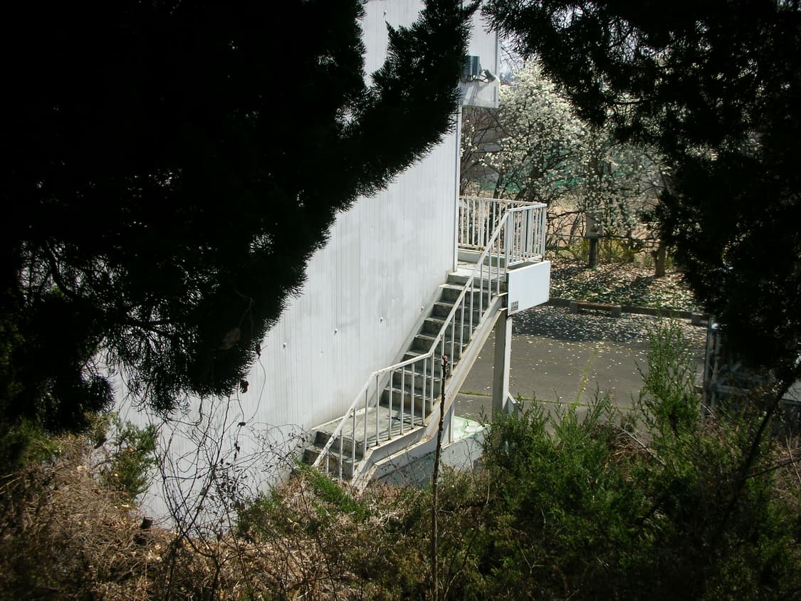 (풀박/설명 필독) 니콘 쿨픽스 S3 Nikon CoolPix 디카  상품이미지8