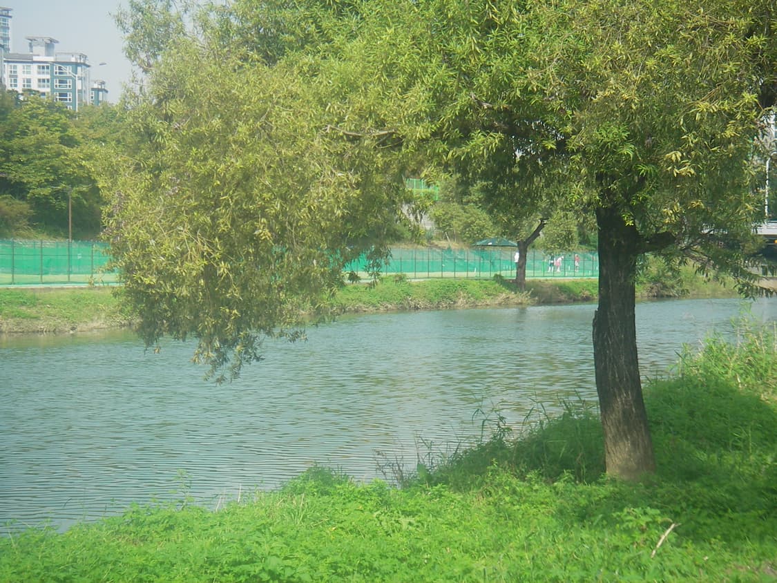 [소프트 포커스, 풀박스] 펜탁스 Optio WP 방수 디카 상품이미지8