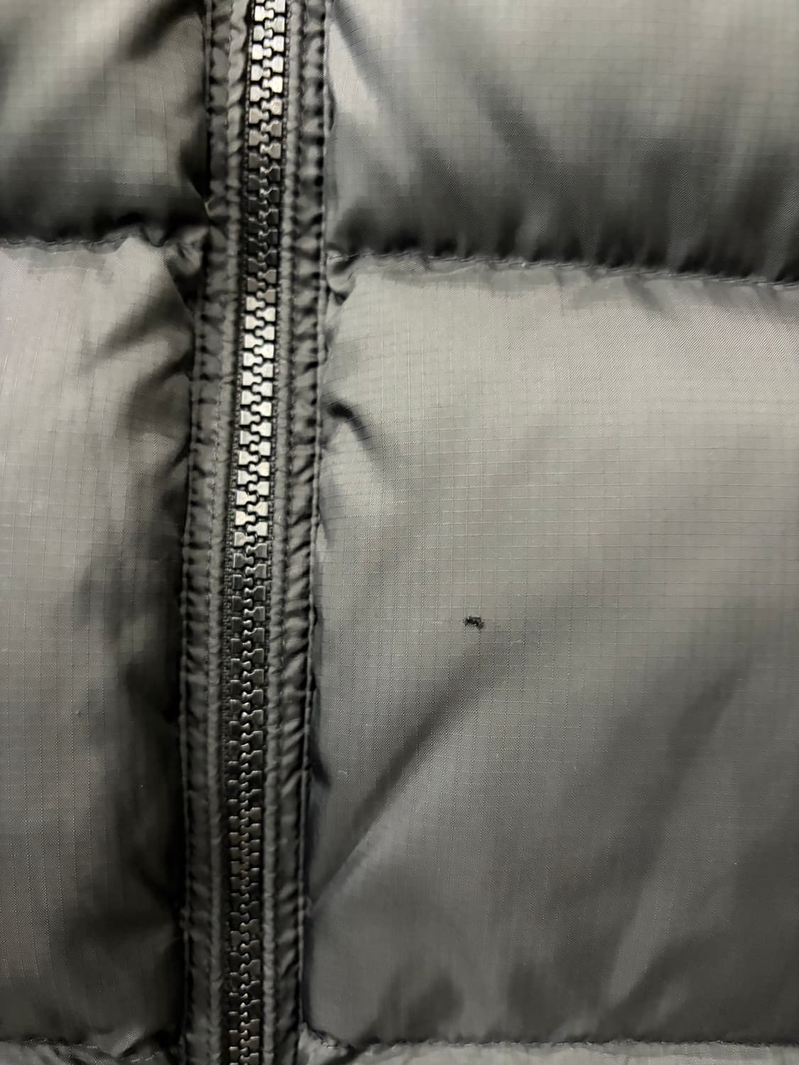 175. 폴로 패딩 상품이미지2