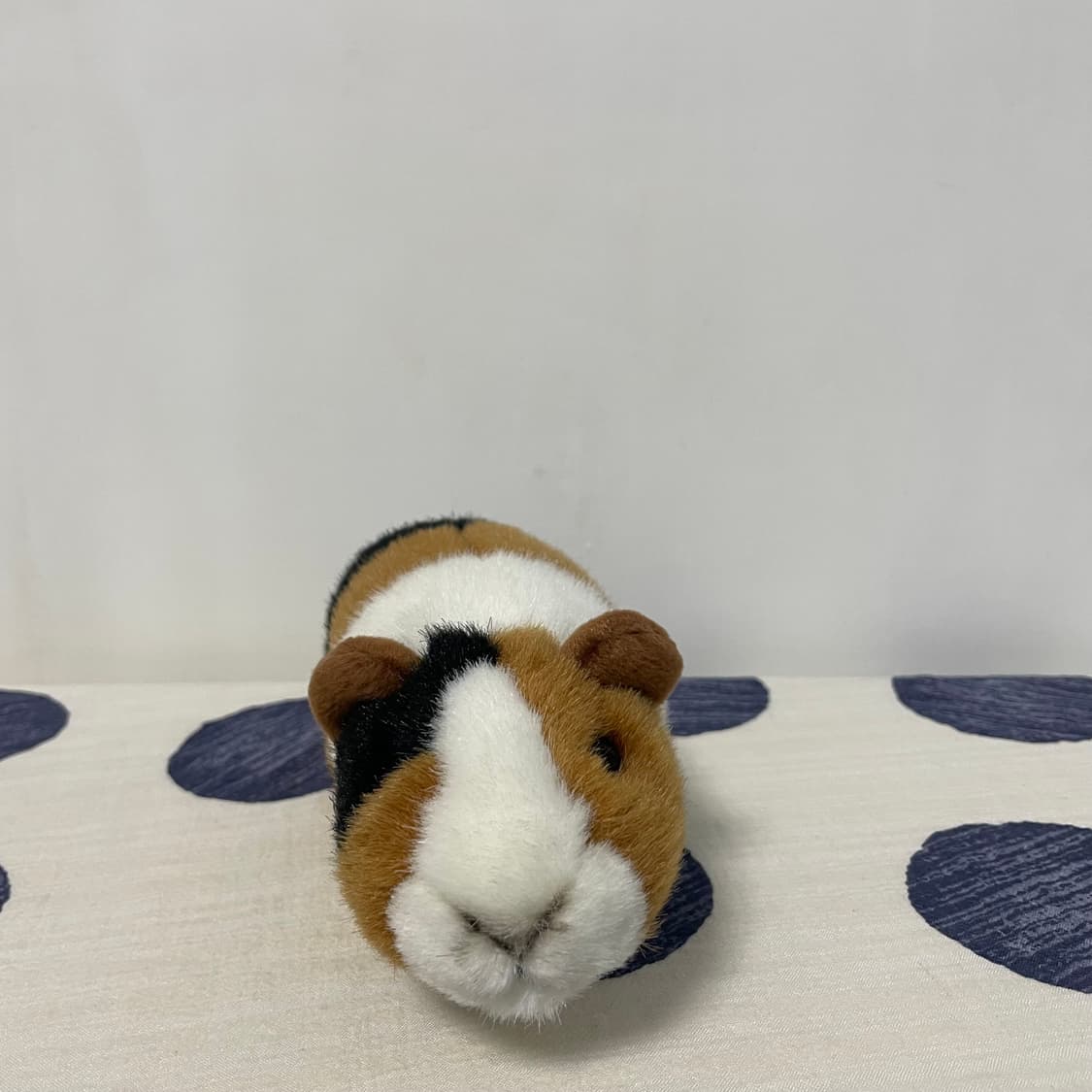 기니피그 인형 상품이미지2
