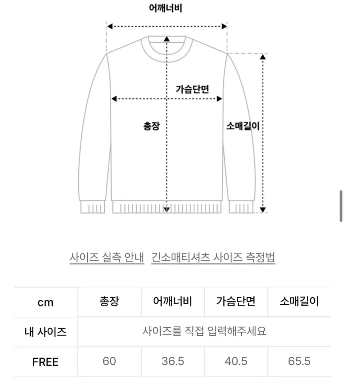 가터갤러리 HUMAN NATURE SHEER MESH TOP 롱슬리브 상품이미지3