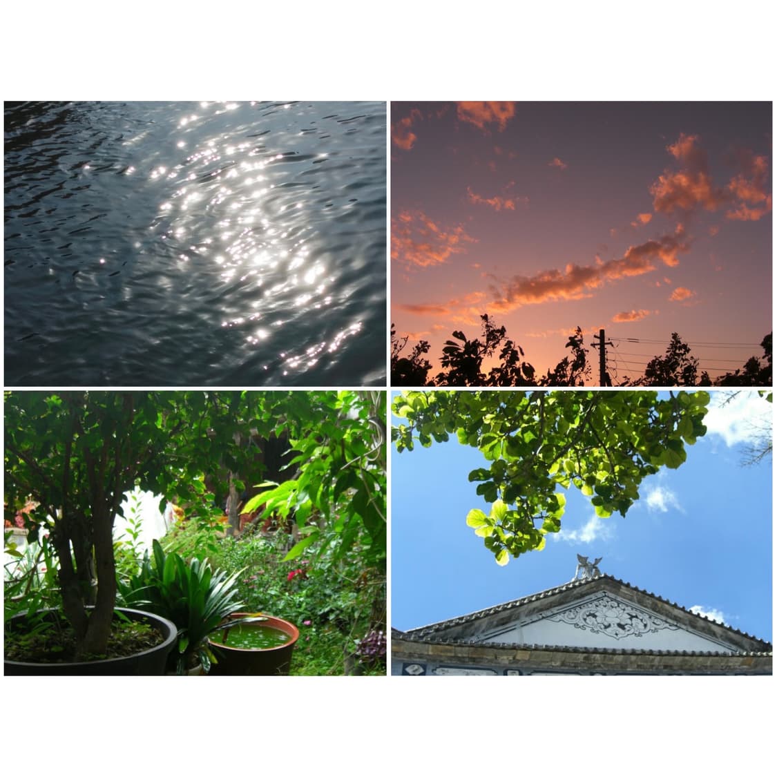 카시오 엑슬림 EX-Z1080 베이비블루 빈티지디카 상품이미지2