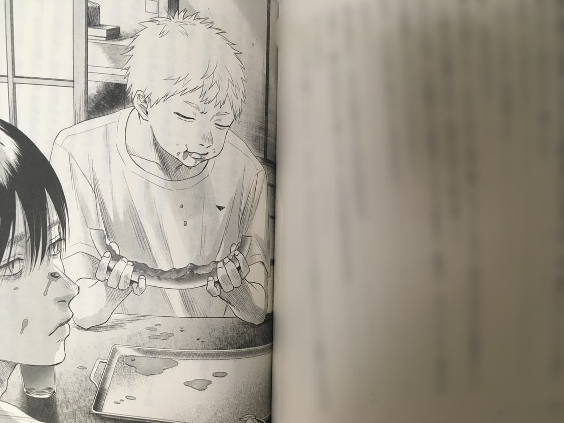 히카루가 죽은 여름 소설 원서 상품이미지2