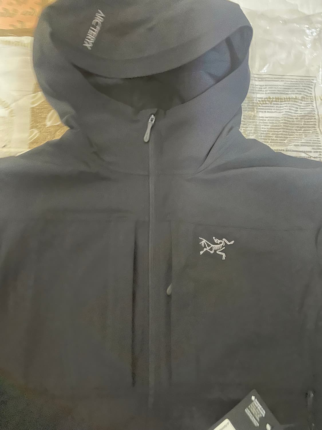 아크테릭스 감마 라이트웨이트 후디 상품이미지2