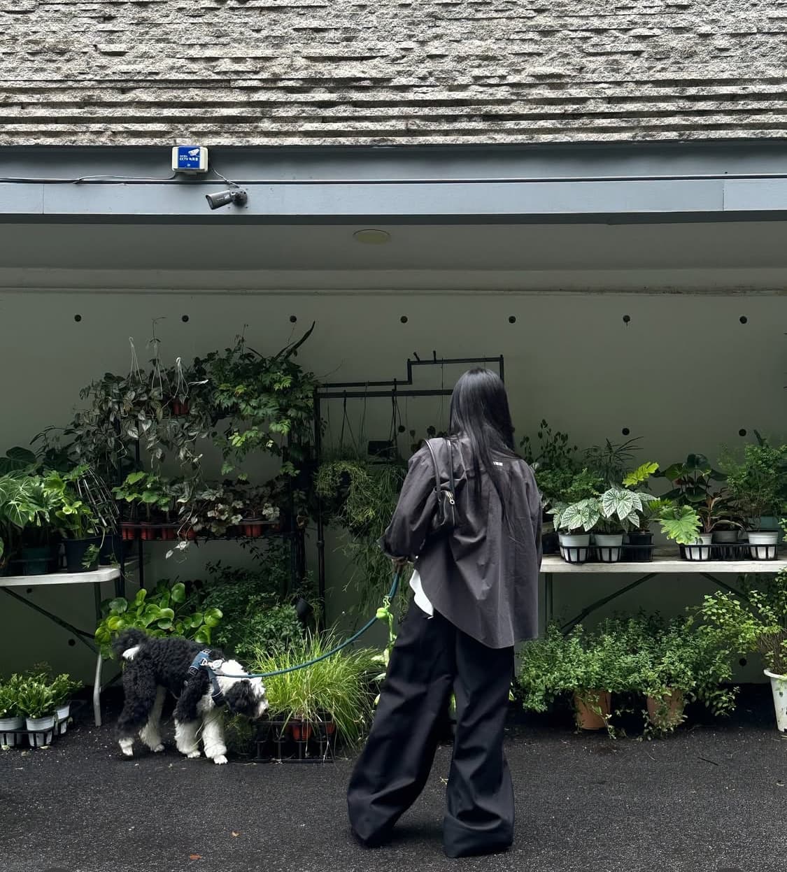 STRUCTURED PINTUCK SLACKS (BLACK) 상품이미지2