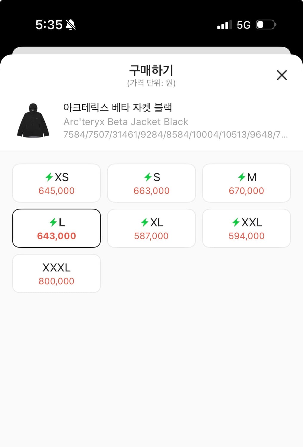아크테릭스 베타 L 상품이미지3