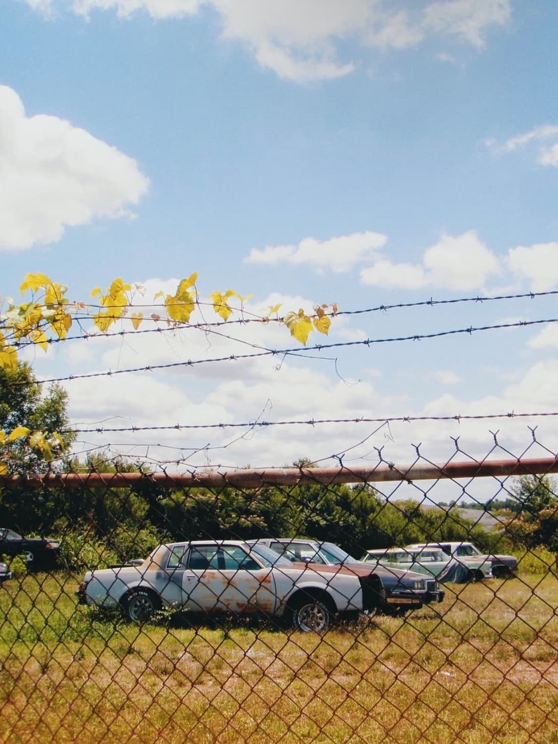 올림푸스 스타일러스 1050sw 디지털카메라 상품이미지7