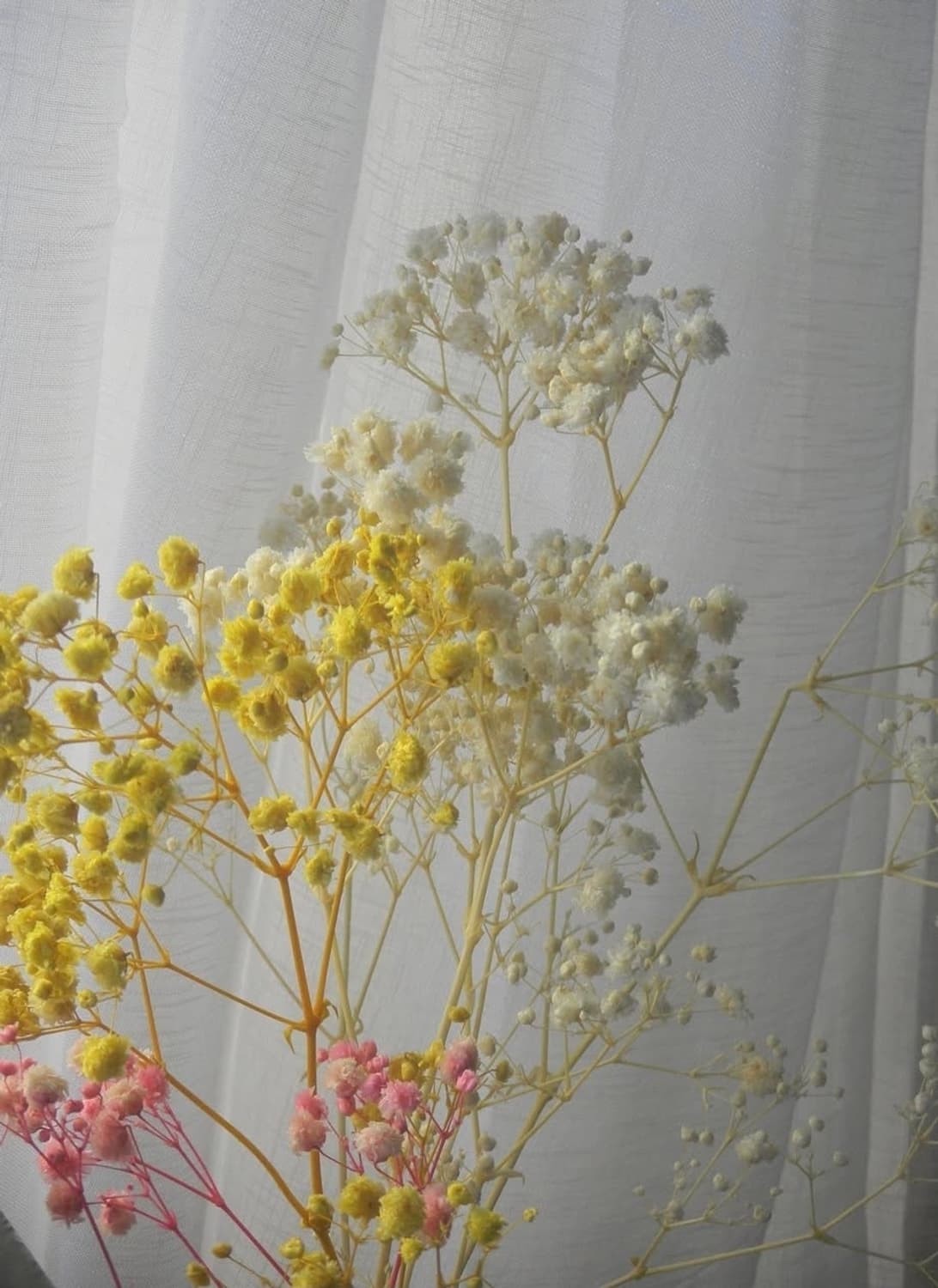 🫧뽀용톤❤️ 니콘 쿨픽스 S80 레드 ✨
 터치스크린 상품이미지8