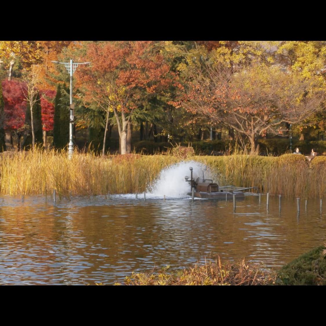 올림푸스 VH-210 박스  로즈 핑크글로시💗 빈티지 디카 디지털카메라 상품이미지8