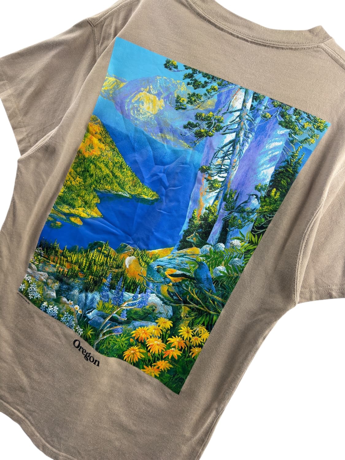 나이키 ACG 크레이터 레이크 프린팅 라운드넥1298 상품이미지4