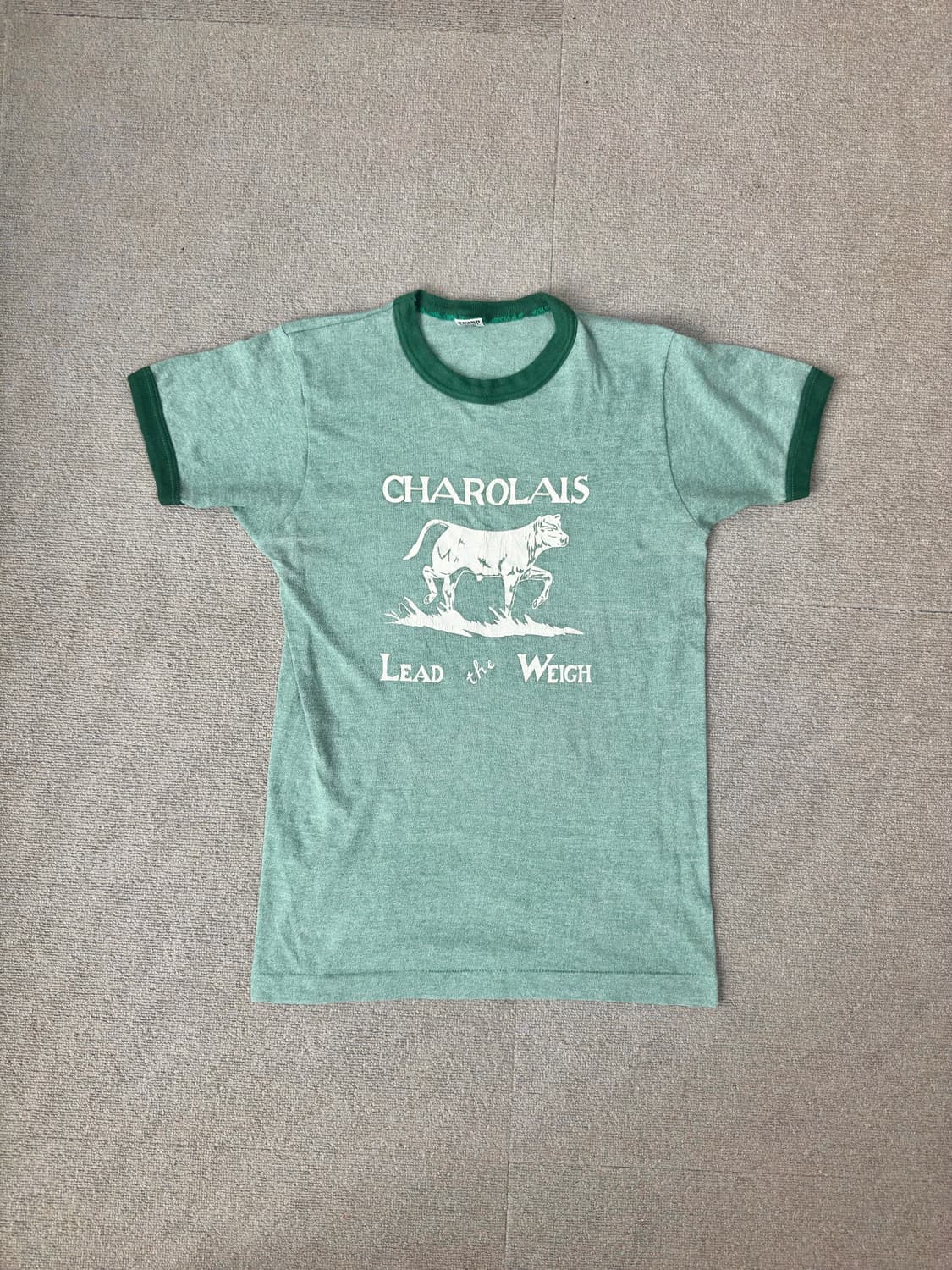 USA 70-80s 싱글스티치 샤롤레 그린 링거 티셔츠 상품이미지1