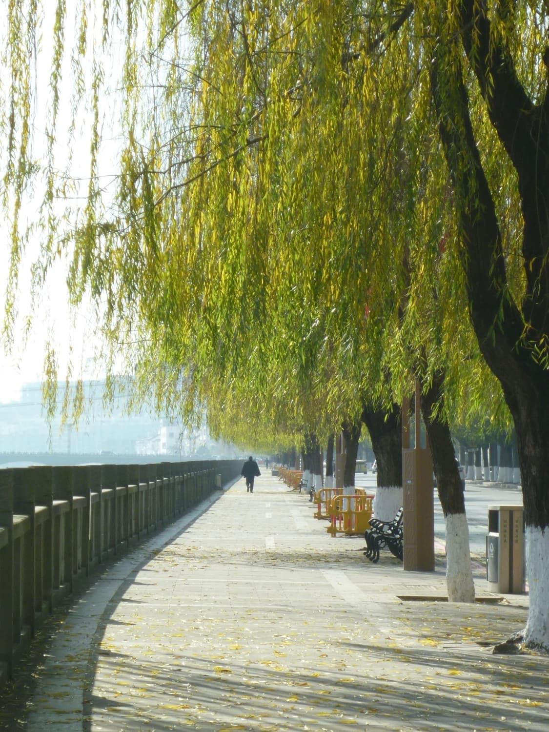 (S급 풀박스🫧) 파나소닉 루믹스 FX77 | Lumix DMC-FX 상품이미지6