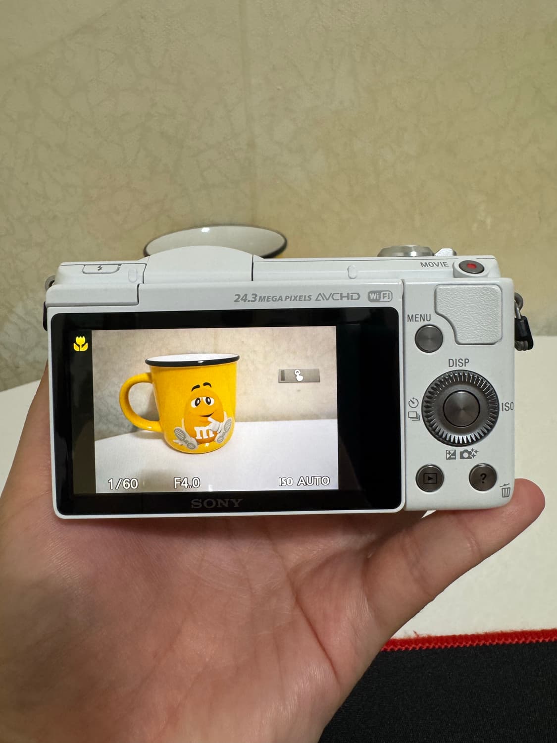 소니 a5100 디카 상품이미지2