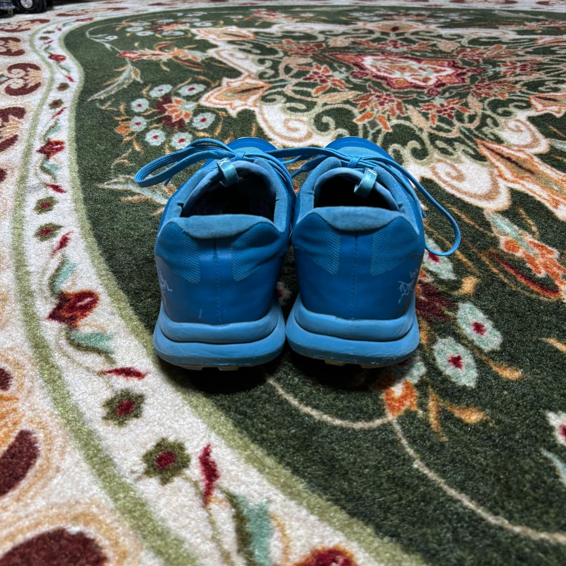 arcteryx norvan ld2  상품이미지4