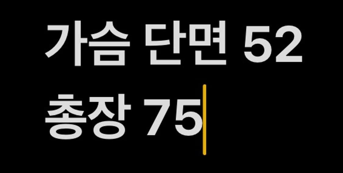 [ 정품/L ] 버버리 스트라이프 블레이저 b15 상품이미지7