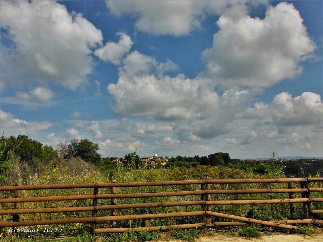 (한국어지원💙) 후지필름 파인픽스 XP150 디지털카메라 디카 상품이미지8