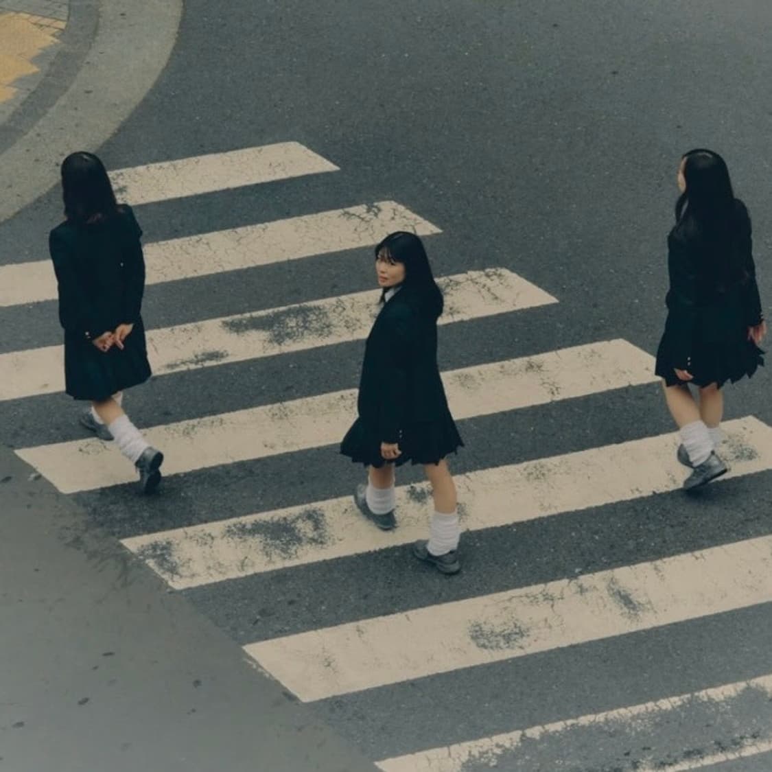 아디다스 타크와 빈트 알리 250(미개봉새상품) 상품이미지6