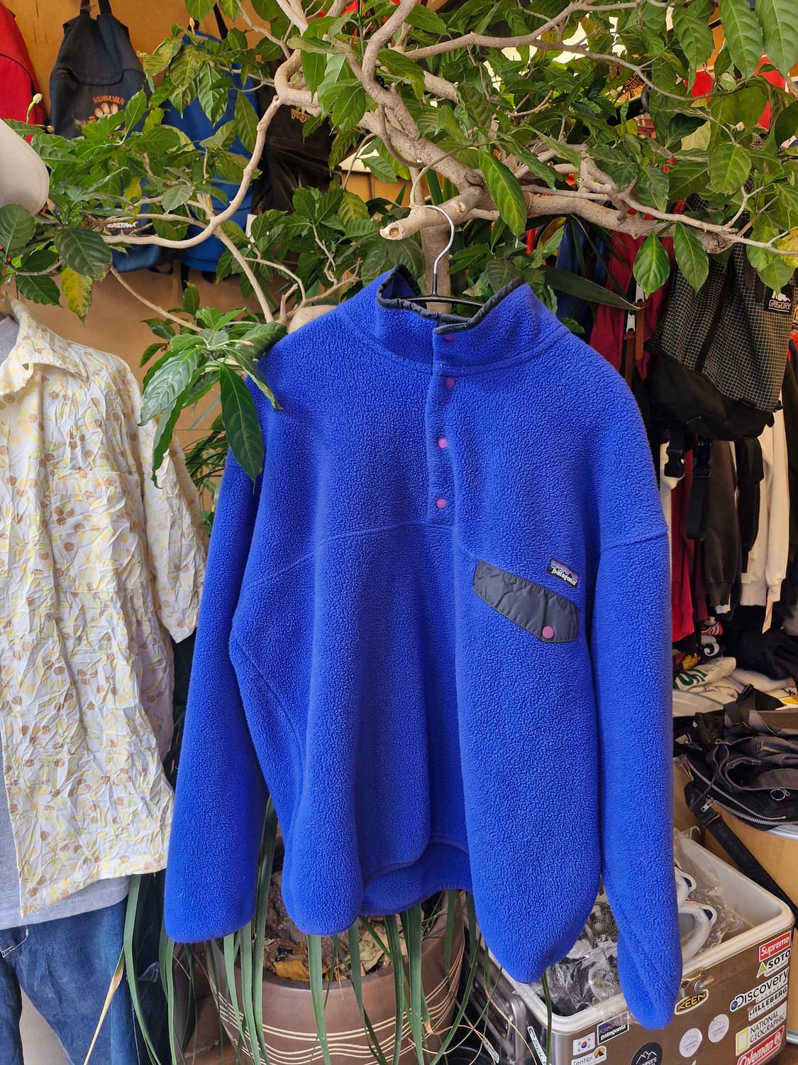 Z-359 파타고니아 신칠라  상품이미지1