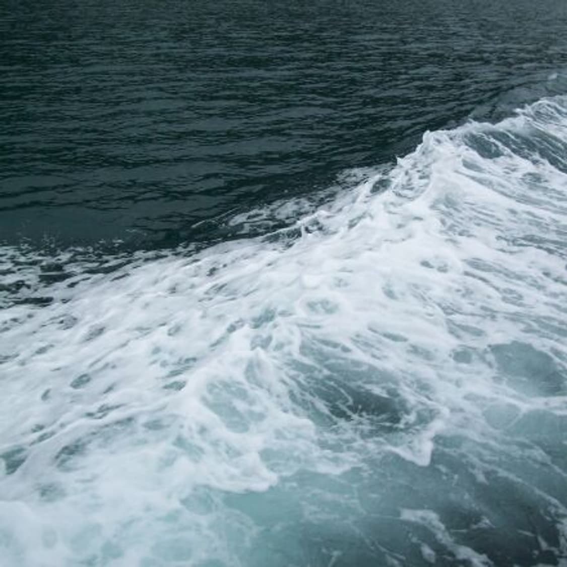 카리나pick✧･ﾟ코닥 easyshare c713 이지쉐어 디카 카메라 상품이미지2