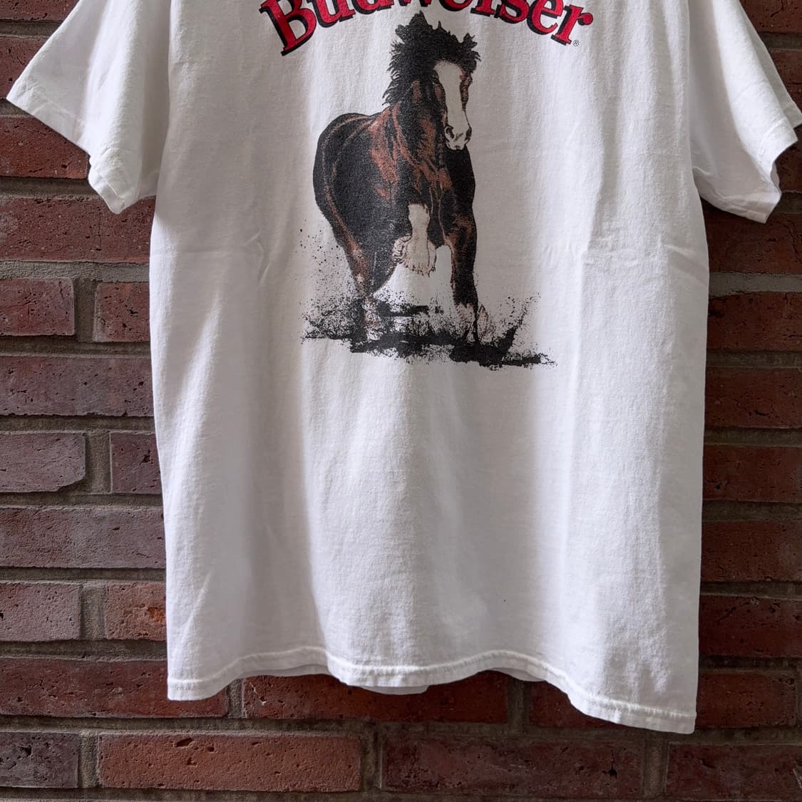 버드와이저 Budweiser 말 그래픽 티셔츠 상품이미지5