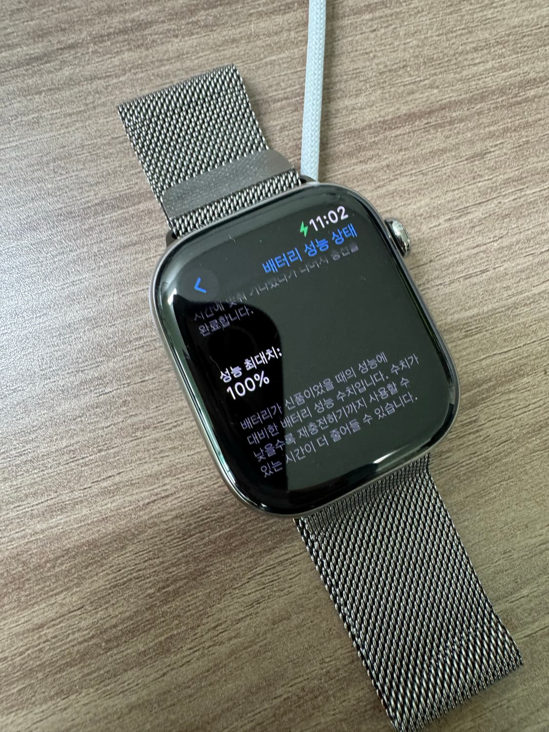 애플워치 10 티타늄 내추럴 46mm 밀레니즈루프 + 애캐플 상품이미지2
