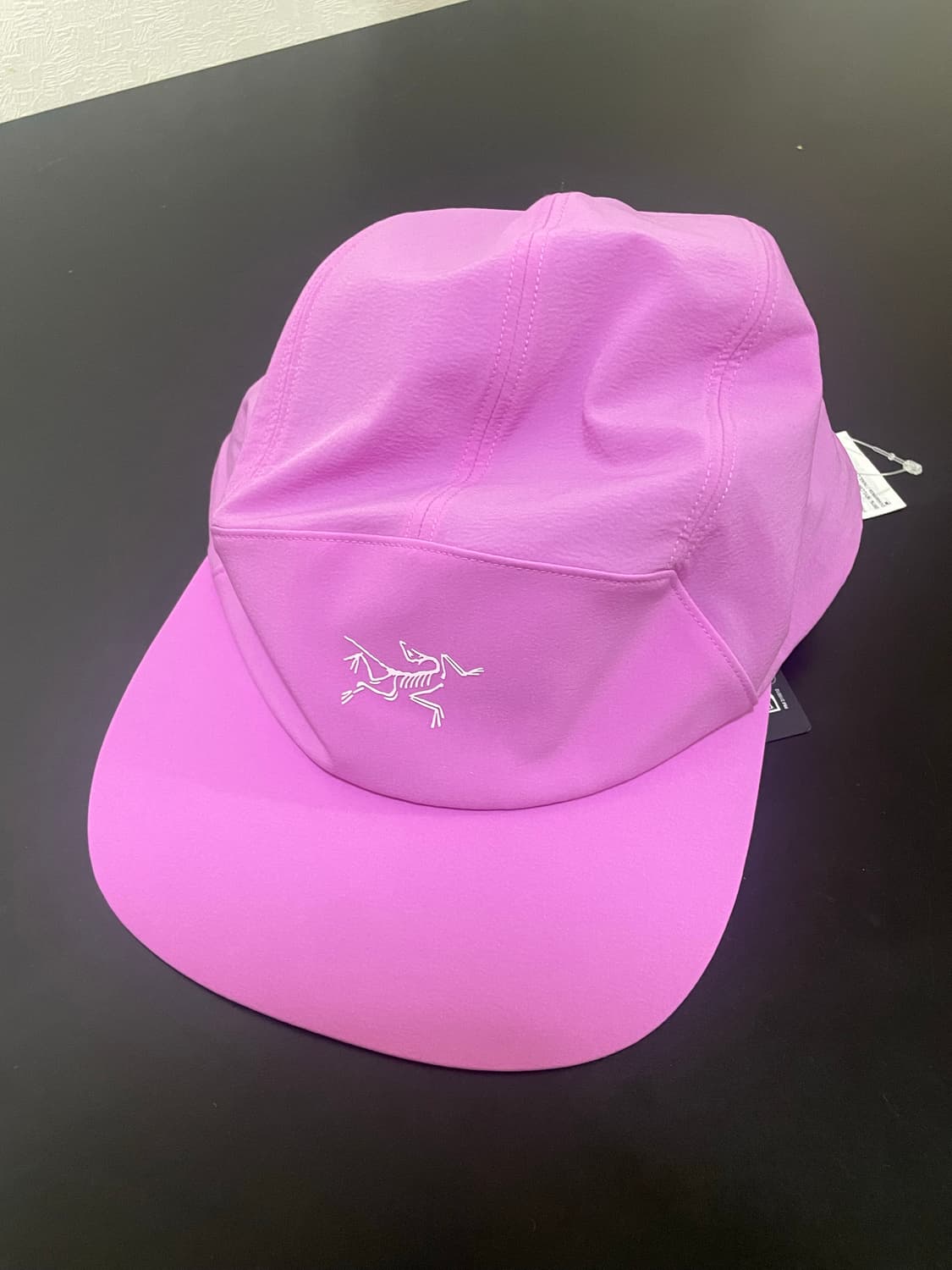 아크테릭스 감마 캡 l-xl 상품이미지1