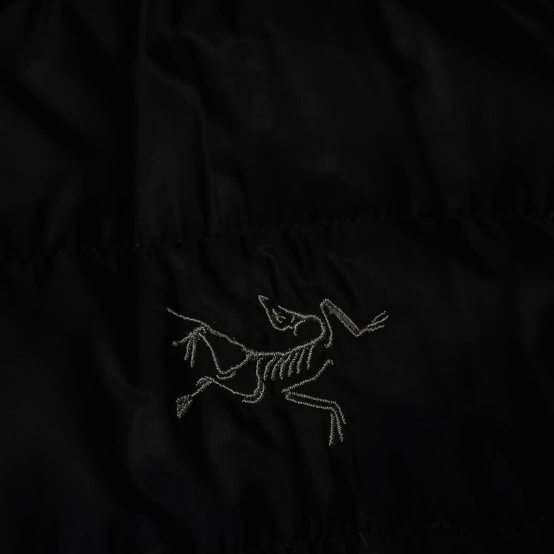 (L) 아크테릭스 세륨 LT후드 상품이미지3