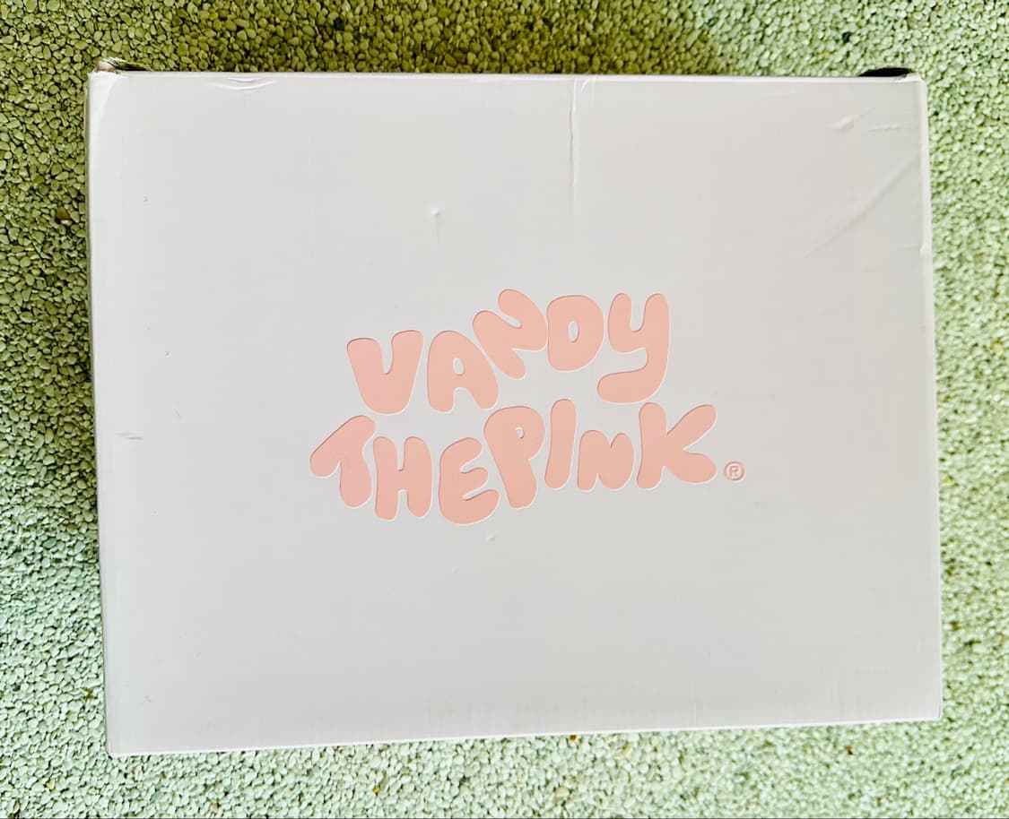 Vandy the pink 반디더핑크 슈즈 size10  상품이미지5